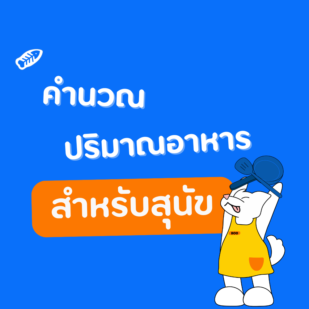 คำนวณความต้องการอาหารน้องหมากับ bogbowl